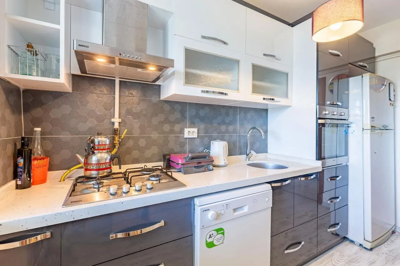 Flat With Shared Pool Near Sabiha Gokcen Airport Apartment Istanbul